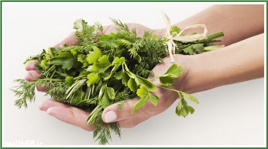 http://health98.ir/wp-content/uploads/2017/07/the-effect-of-medicinal-herbs-on-the-reduction-of-blood-lipids.jpg
