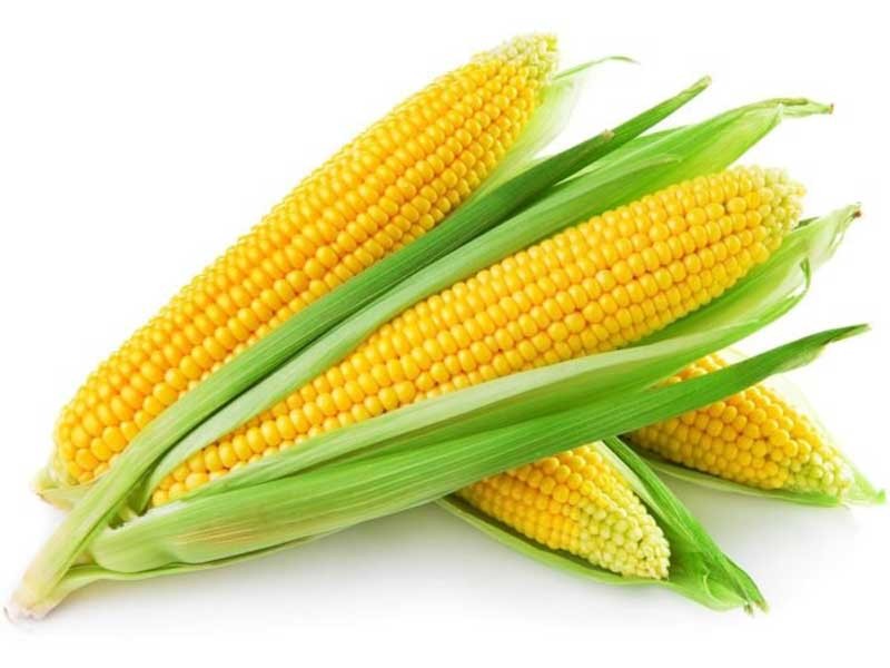 nutritional-value-of-corn