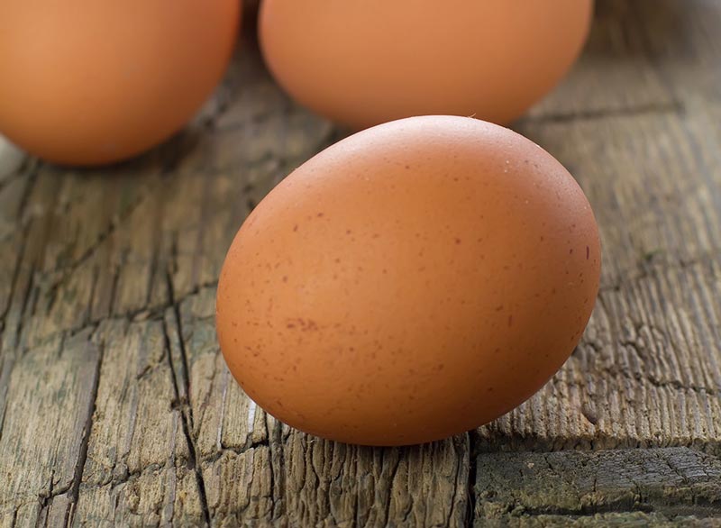 رژیم غذایی شکم شش تکه,غذاهای چربی سوز سریع,eggs-11-foods-end-bad-moods تخم مرغ