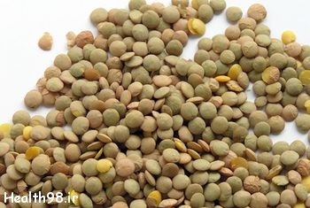 lentil-is-the-source-of-protein