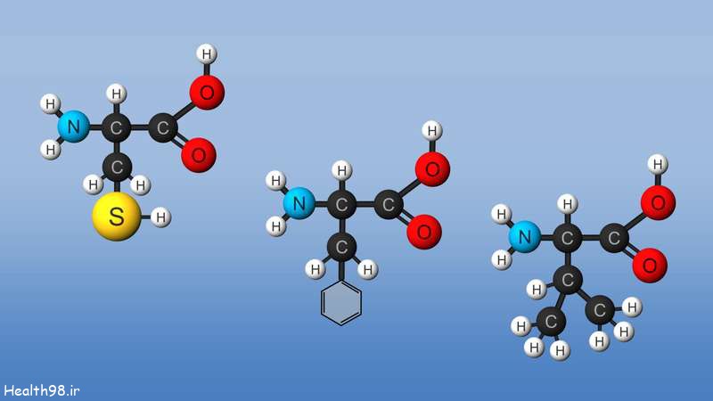 amino acid | Definition, Structure, & Facts | Britannica