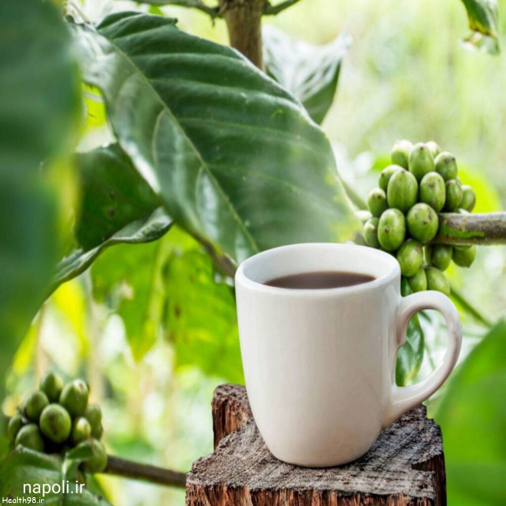 قهوه سبز و فواید آن